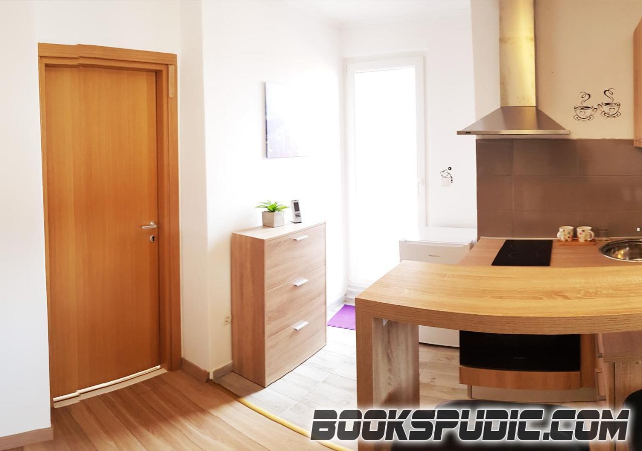 Appartement Penthouse Spudic Karlovac Extérieur photo